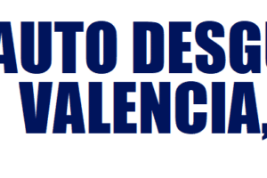 Auto Desguace Valencia, S.L.