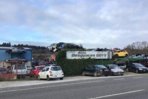 Auto Desguaces Goyo