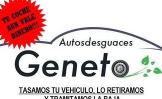 autodesguaces geneto