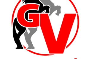 Desguace Villaseñor